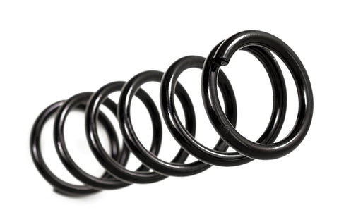 BDS - Ford F150 Coil Springs (Pair)